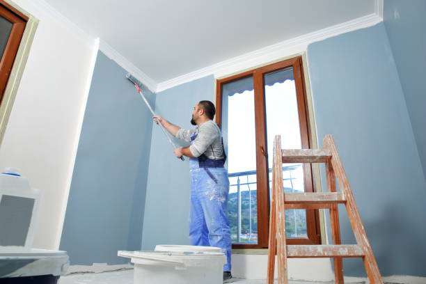 Best Trim and Molding Painting  in Ashland, IL